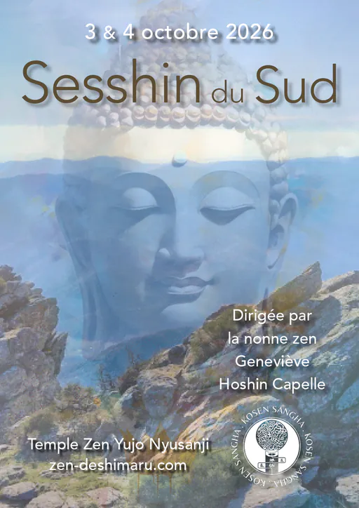 southern sesshin 2026 512w